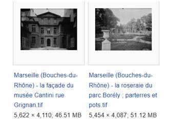 Vignette_wikimedia