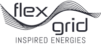 FlexGrid_logo