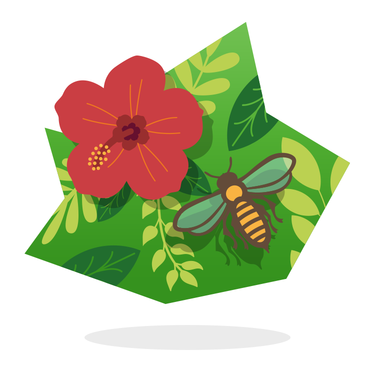 Biodiversité
